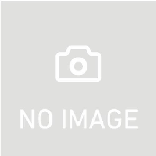 チョコパンチ　　（夏季休売４月～９月）